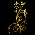 FLOWER EVOLUTION
